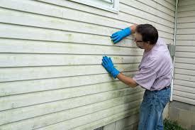 Best Vinyl Siding Installation  in Fort Polk South, LA